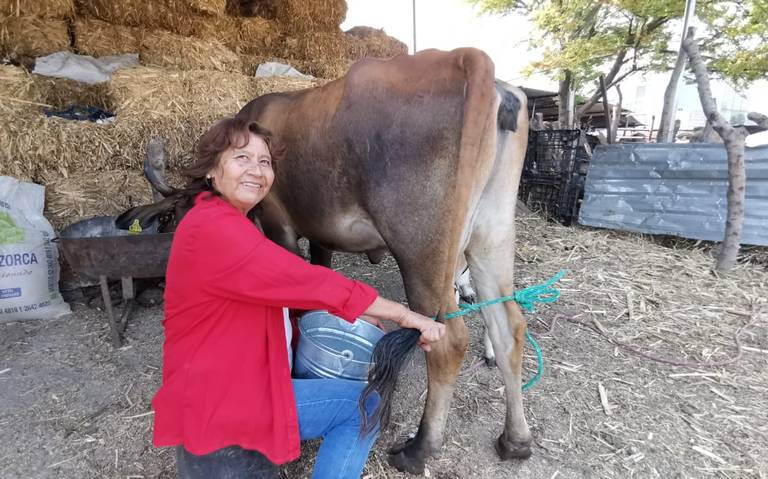 Mujer que se arrepintió de ser madre - La Tercera