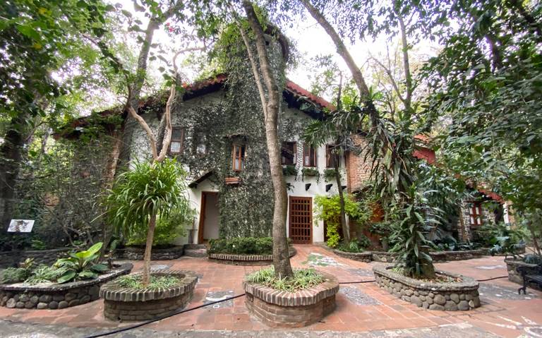 Un hotel que honra y ama a los árboles - El Sol de Cuautla | Noticias  Locales, Policiacas, sobre México, Morelos y el Mundo
