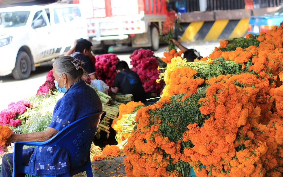 Baja la venta de cempasúchil este año - El Sol de Cuernavaca | Noticias  Locales, Policiacas, sobre México, Morelos y el Mundo