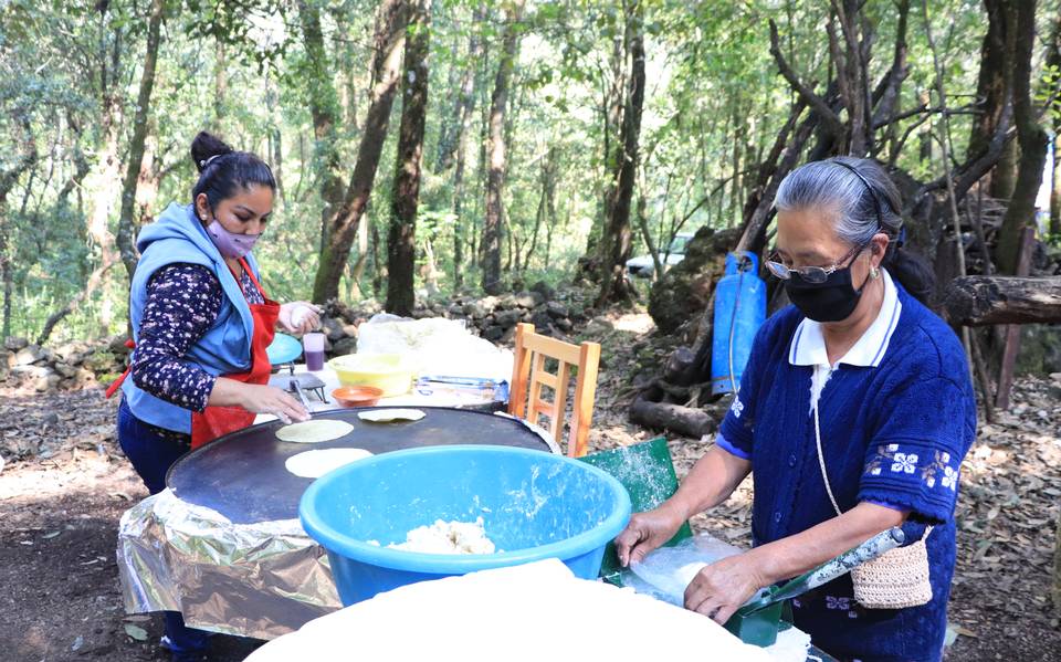 Pobladores crean bosque en Santa María Ahuacatitlán - El Sol de Cuernavaca  | Noticias Locales, Policiacas, sobre México, Morelos y el Mundo