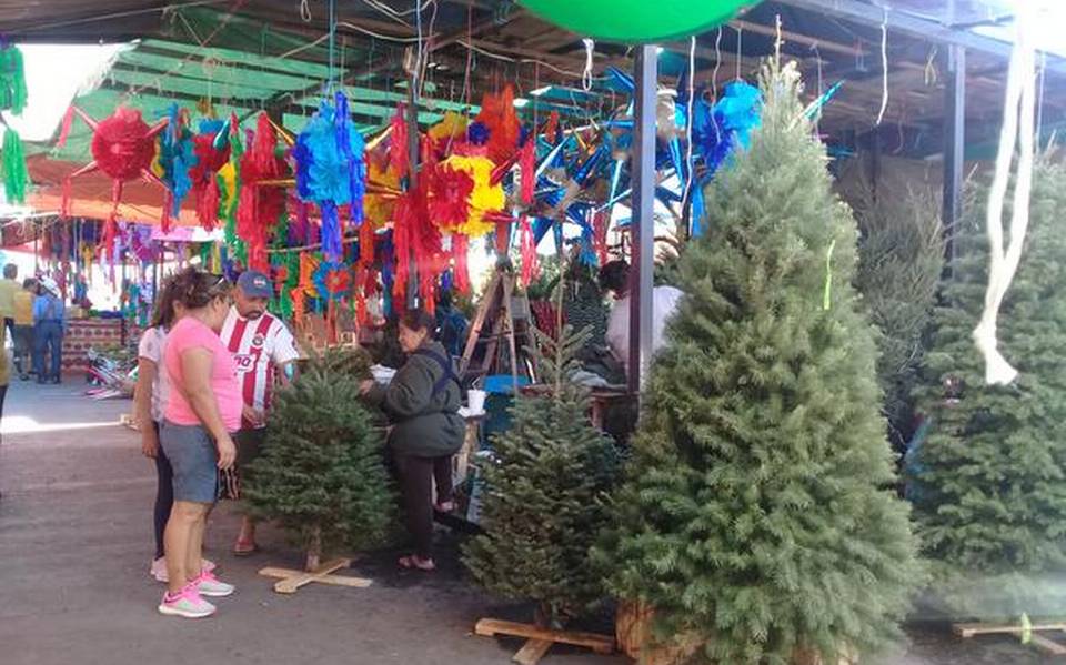 Familias prefieren árboles naturales - El Sol de Cuernavaca | Noticias  Locales, Policiacas, sobre México, Morelos y el Mundo