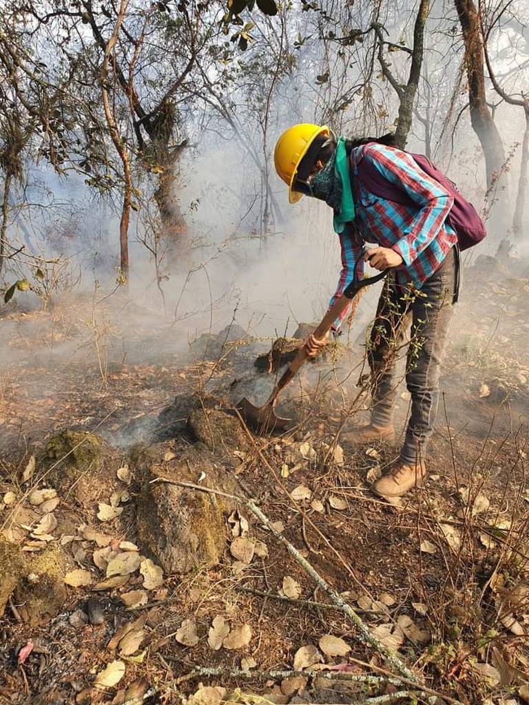 Por amor al bosque, ella apaga fuegos - El Sol de Cuernavaca | Noticias  Locales, Policiacas, sobre México, Morelos y el Mundo