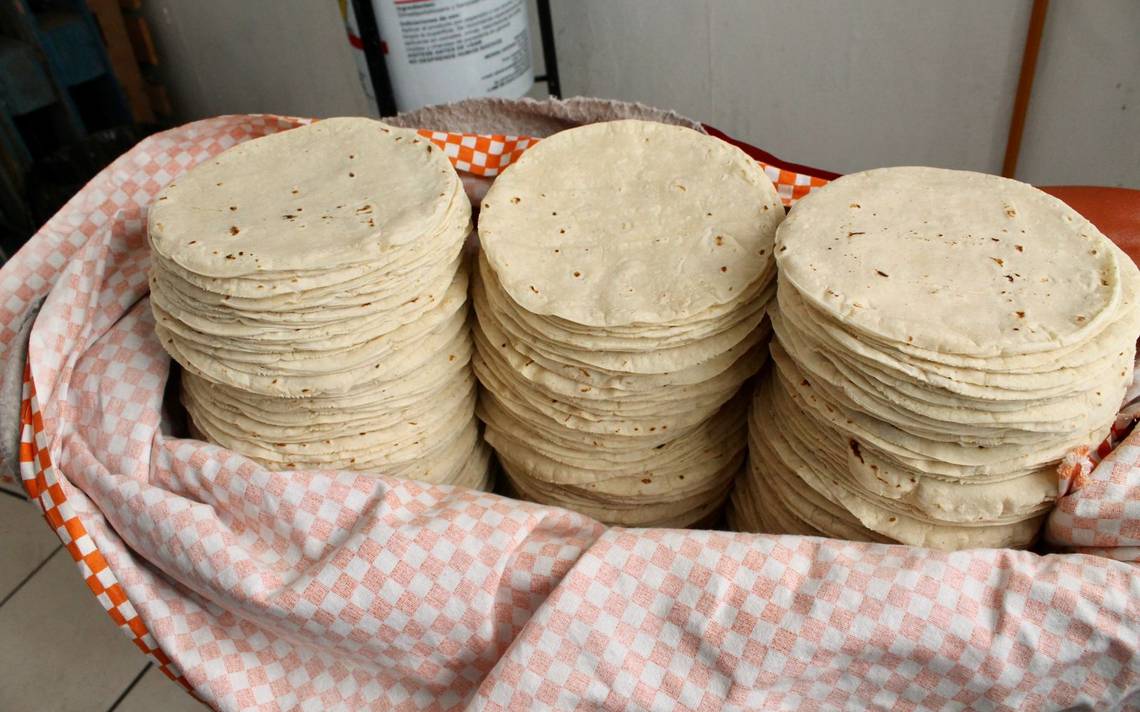 En 2023, la tortilla podría llegar a los 30 pesos por kilo El Sol de
