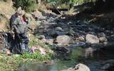 Los trabajos en la barranca Puente Blanco están enfocados en preservar el medio ambiente y evitar factores de inundación en la temporada de lluvia en Cuernavaca